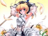 Forum Image: http://img120.imagevenue.com/loc1082/th_40685_Konachan.com_-_51043_fate_stay_night_fate_unlimited_codes_saber_saber_lily_123_1082lo.jpg